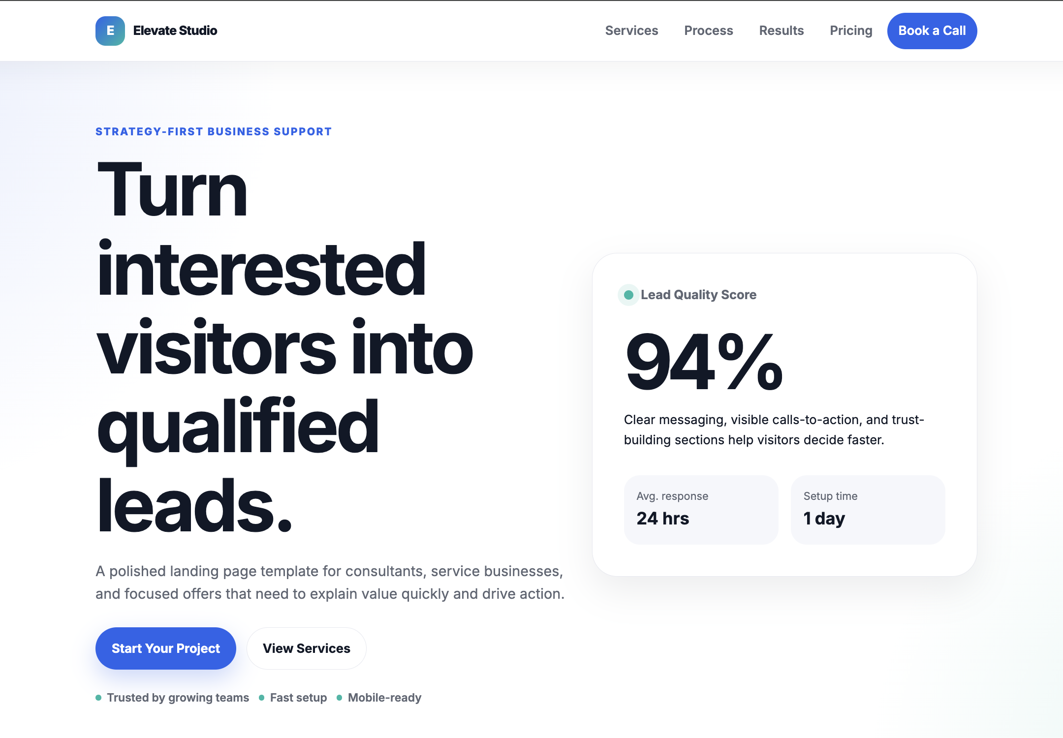 Business landing page template preview