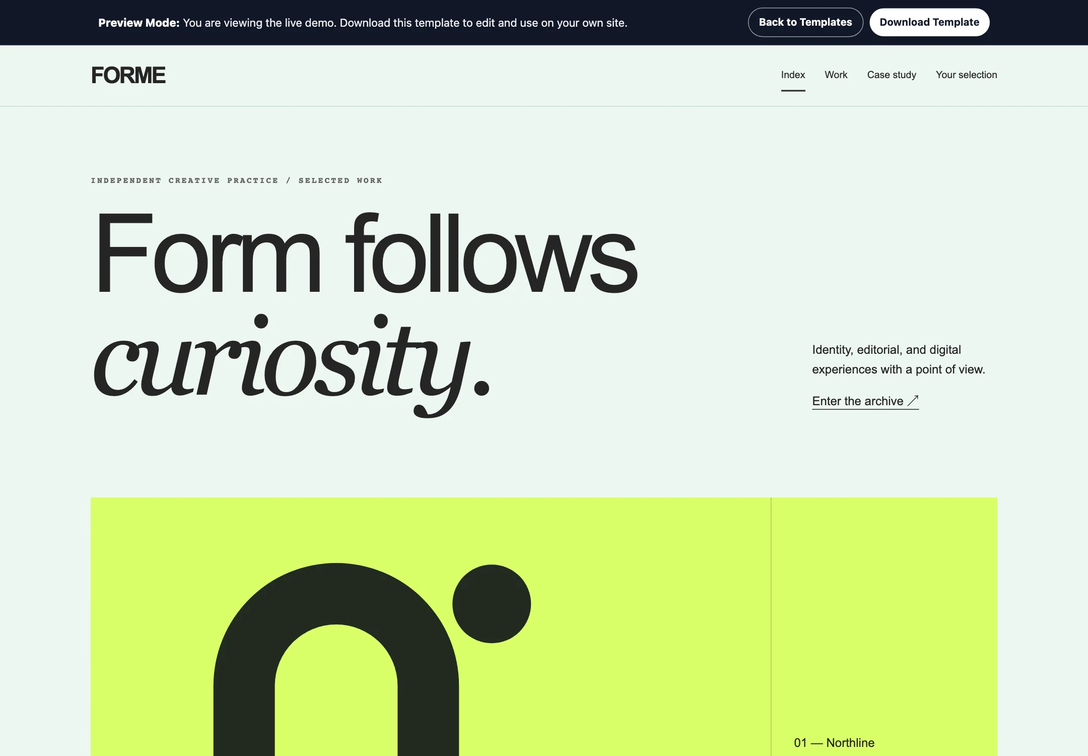 Portfolio Showcase template preview